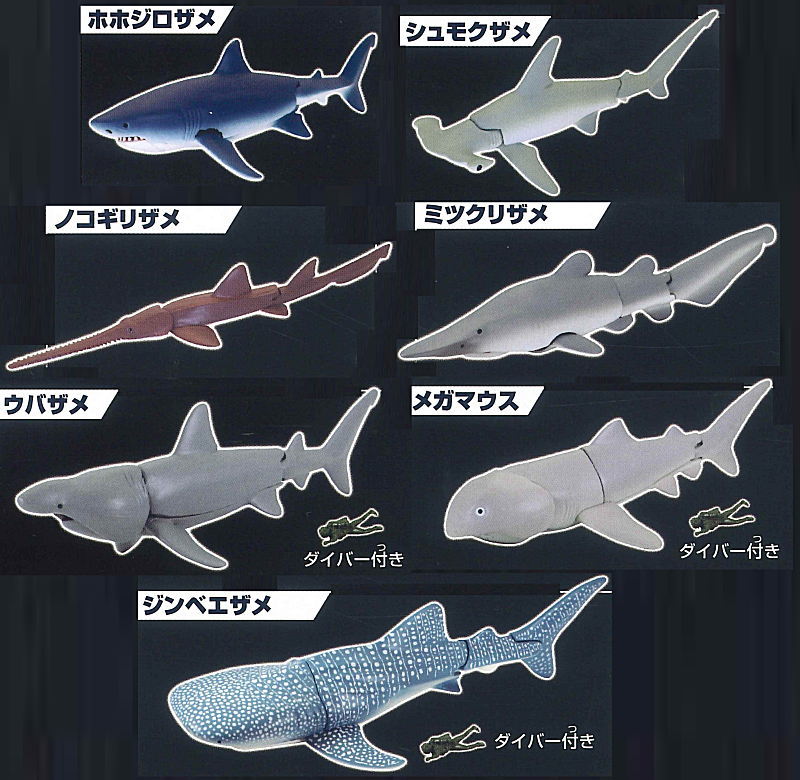 sharks様 The Shark Gathering! Sharks [All 7 type set (Full Complete