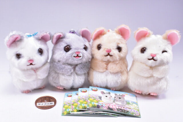Chinchilla Lala-chan plush toy [All 4 type set (Full Complete