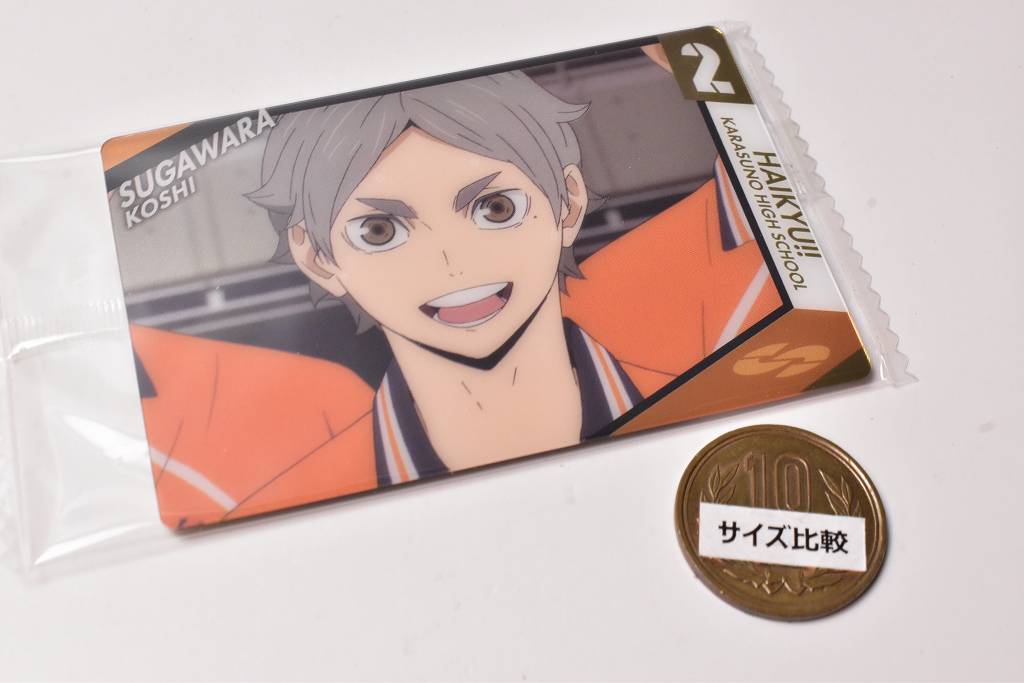 Haikyuu!! Wafer 2 [16.Koshi Sugawara (Character Card(2 Haikyuu!! Wafer 2 [16.Koshi Sugawara (Character Card(2