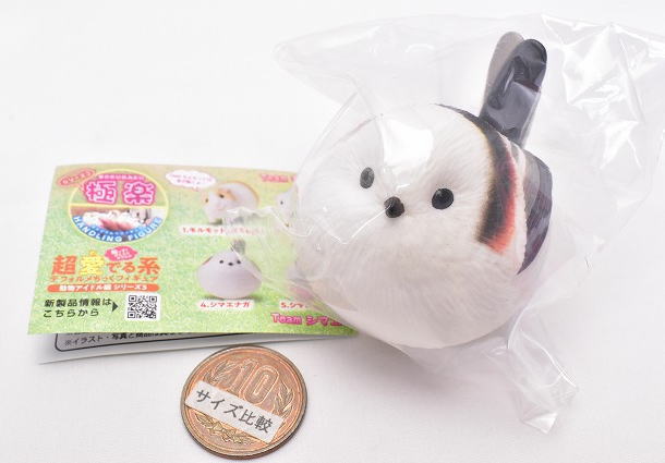 ギニーピッグ GINT PIGGU THE COMPLETE 4枚組 Amazon.co.jp: ギニーピッグ GINI PIGGU 海外版,4枚組