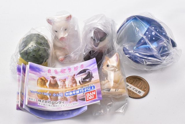 Machiboke Part.6 [All 5 type set (Full Complete)] – toysantajp