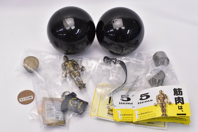 GOLD'S GYM Miniature Collection [All 5 type set(Full Complete