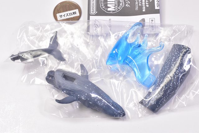 Ikimono Encyclopedia Mini Collection Whale [1.Blue whale] – toysantajp