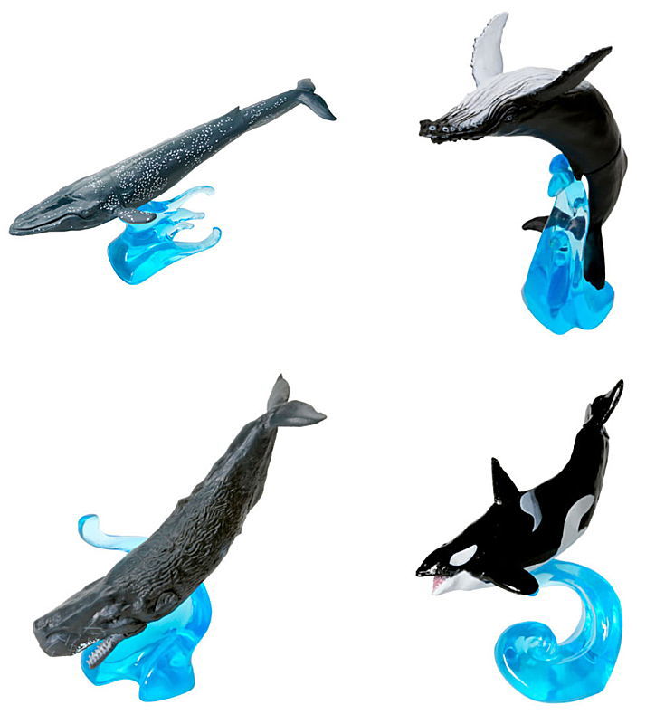 Ikimono Encyclopedia Mini Collection Whale [All 4 type set(Full