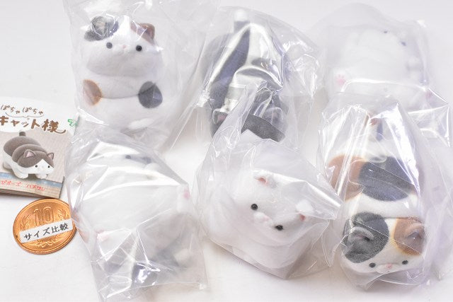 Ushihito's Pocha Pocha Cat-sama Flocky Figure Part.3 [all 6 Type Set 