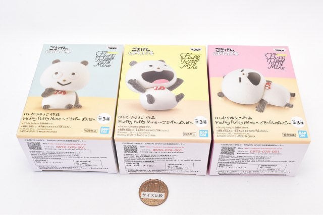 Phuwinくん シークレット Punxsutawney Phil 2005 by Ty Beanie Babies 3-9 for sale