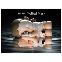 POPMART ZSIGA Twins series [10.Secret:Melted Mask]