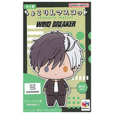 Chokorin Mascot WIND BREAKER [All 6 type set(Full Complete)]