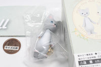 porops tiny doll (box version) [1.Gray Cat (blue eyes)]