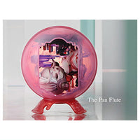 POPMART SKULLPANDA The Mirage Series [9.The Pan Flute]