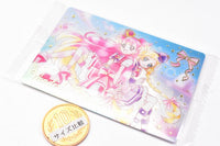 PreCure Card Wafer Part.9 [16.Cure Wonderful & Cure Friendy (SSR)]