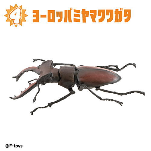 Insect Hunter Beetle x Stag Beetle 2024 [4.European Miyama stag]