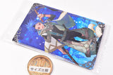 Fate/Grand Order Wafer13 [2.Saber/ Setanta (N)]