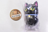 Coo'nyats [9.Black cat [with collar]]