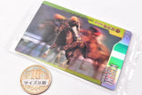 Thoroughbred Horse Collection Twin Wafers [6.Kiseki 78th Kikuka Sho (G1) (Normal Card)]