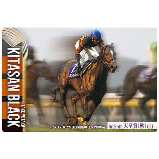 Thoroughbred Horse Collection Twin Wafers [7.Kitasan Black 156th Tenno Sho (Autumn) (G1) (Normal Card)]