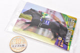 Thoroughbred Horse Collection Twin Wafers [11.Satono Crown 58th Takarazuka Kinen (G1) (Normal Card)]