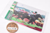Thoroughbred Horse Collection Twin Wafers [13.Cesario 66th Yushun Himba (G1) (Normal card)]