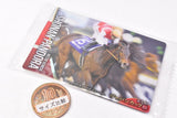 Thoroughbred Horse Collection Twin Wafers [16.Shounan Pandora 35th Japan Cup (G1) (Normal card)]