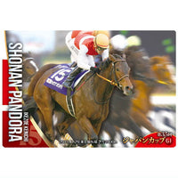 Thoroughbred Horse Collection Twin Wafers [16.Shounan Pandora 35th Japan Cup (G1) (Normal card)]