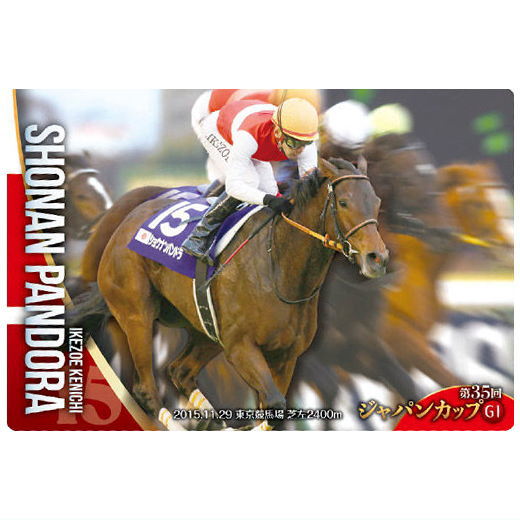 Thoroughbred Horse Collection Twin Wafers [16.Shounan Pandora 35th Japan Cup (G1) (Normal card)]