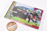 Thoroughbred Horse Collection Twin Wafers [18.Stars on Earth 83rd Yushun Himba (G1) (Normal card)]