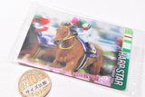 Thoroughbred Horse Collection Twin Wafers [27.Harp Star 74th Oka Sho (G1) (normal card)]