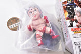 Kinnikuman Trading Figure Collection [2.Terryman]