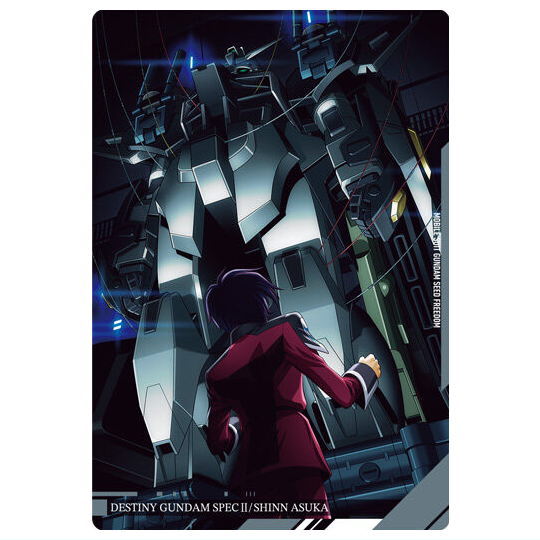Itajaga Mobile Suit Gundam Visual Art Collection [20.Destiny Gundam Spec II �• Shinn Asuka (N)]