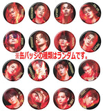 [BOX Sales 18 packs]BATTLE OF TOKYO Can Badge Chocolate Snack