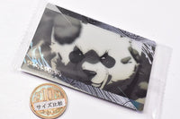 Jujutsu Kaisen Wafer Special Edition [26.Panda (Normal card/Movie 0)]