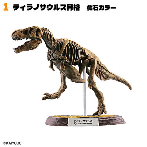 Dinosaur Master Part.5 [1.Tyrannosaurus skeleton fossil color]