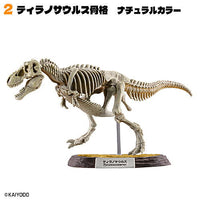 Dinosaur Master Part.5 [2.Tyrannosaurus skeleton natural color]