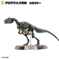 Dinosaur Master Part.5 [3.Allosaurus skeleton fossil color]