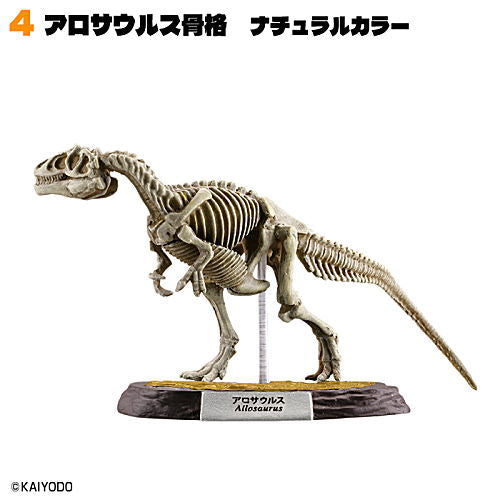 Dinosaur Master Part.5 [4.Allosaurus skeleton natural color]