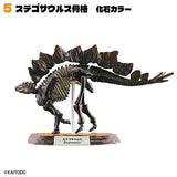 Dinosaur Master Part.5 [5.Stegosaurus skeleton fossil color]