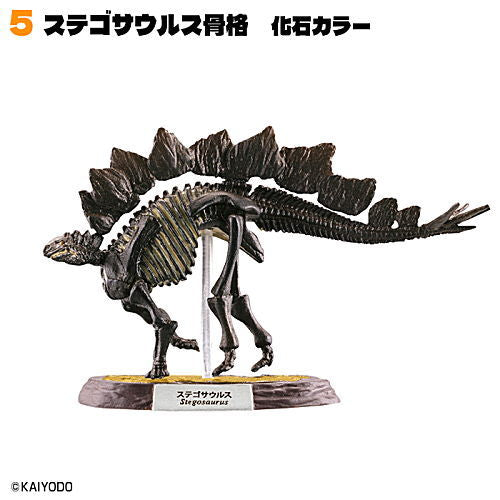 Dinosaur Master Part.5 [5.Stegosaurus skeleton fossil color]