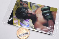 RIZIN wafer '24 [8.Sho Patrick Usami]