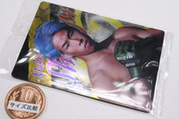 RIZIN wafer '24 [19.Makoto Shinryu]