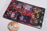 RIZIN wafer '24 [36.secret2]
