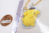 Sanrio Characters Twin Charm Nijihoshi Candy [5.Pompompurin]