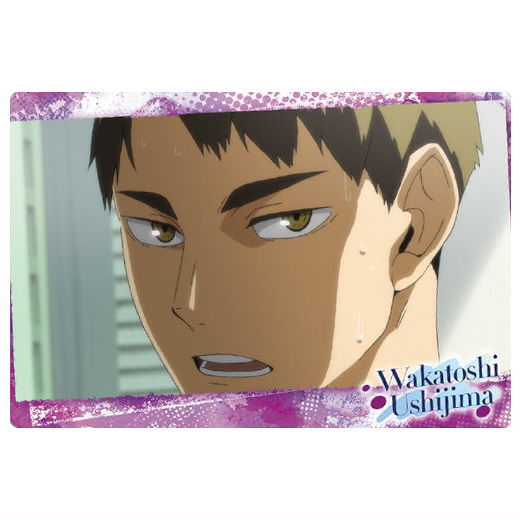 Haikyu!! Wafer Part.5 [12.Wakatoshi Ushijima (Character card 2)]