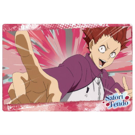Haikyu!! Wafer Part.5 [13.Satori Tendo (Character card 2)]