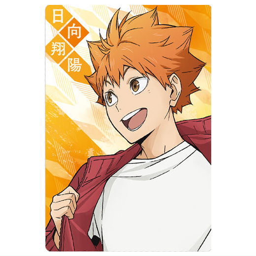 Haikyu!! Wafer Part.5 [17.Shoyo Hinata (Character card 2)]