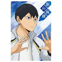 Haikyu!! Wafer Part.5 [18.Tobio Kageyama (Original card)]
