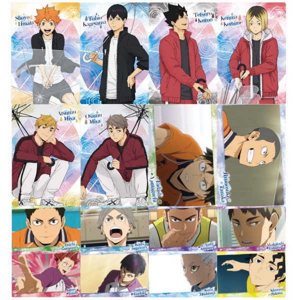 Haikyu!! Wafer Part.5 [Character card 13 type set (1-16)]