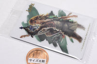 The Legend of Zelda Tears of the Kingdom Card Twin Wafer [1.Link (Character Card)]
