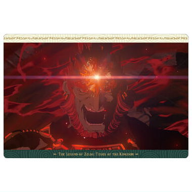 The Legend of Zelda Tears of the Kingdom Card Twin Wafer [23.Visual Card]