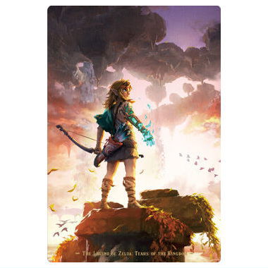 The Legend of Zelda Tears of the Kingdom Card Twin Wafer [26.Illustrated Card]