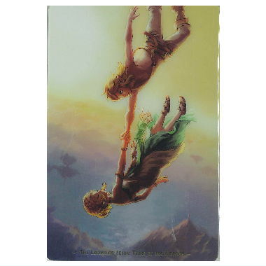 The Legend of Zelda Tears of the Kingdom Card Twin Wafer [28.Secret]